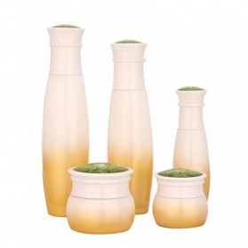 30g 50g 40ml 100ml 120ml Glass Set Bottle