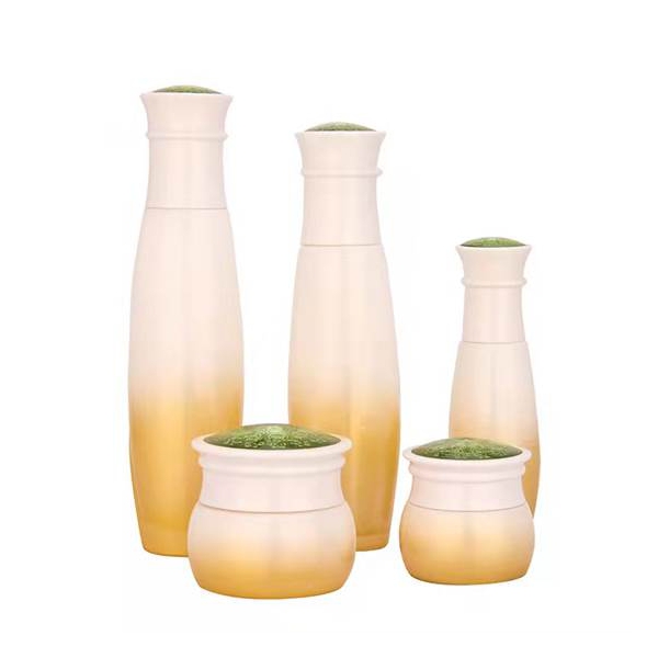 30g 50g 40ml 100ml 120ml Glass Set Bottle